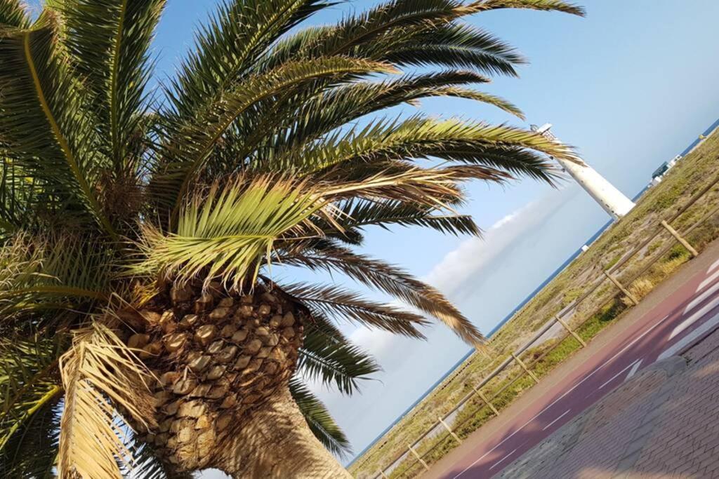Front Beach Jandia Apartment Morro Jable  Esterno foto